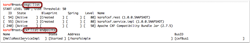 Karaf verification commands