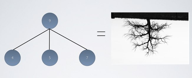 Single Forest Tree
